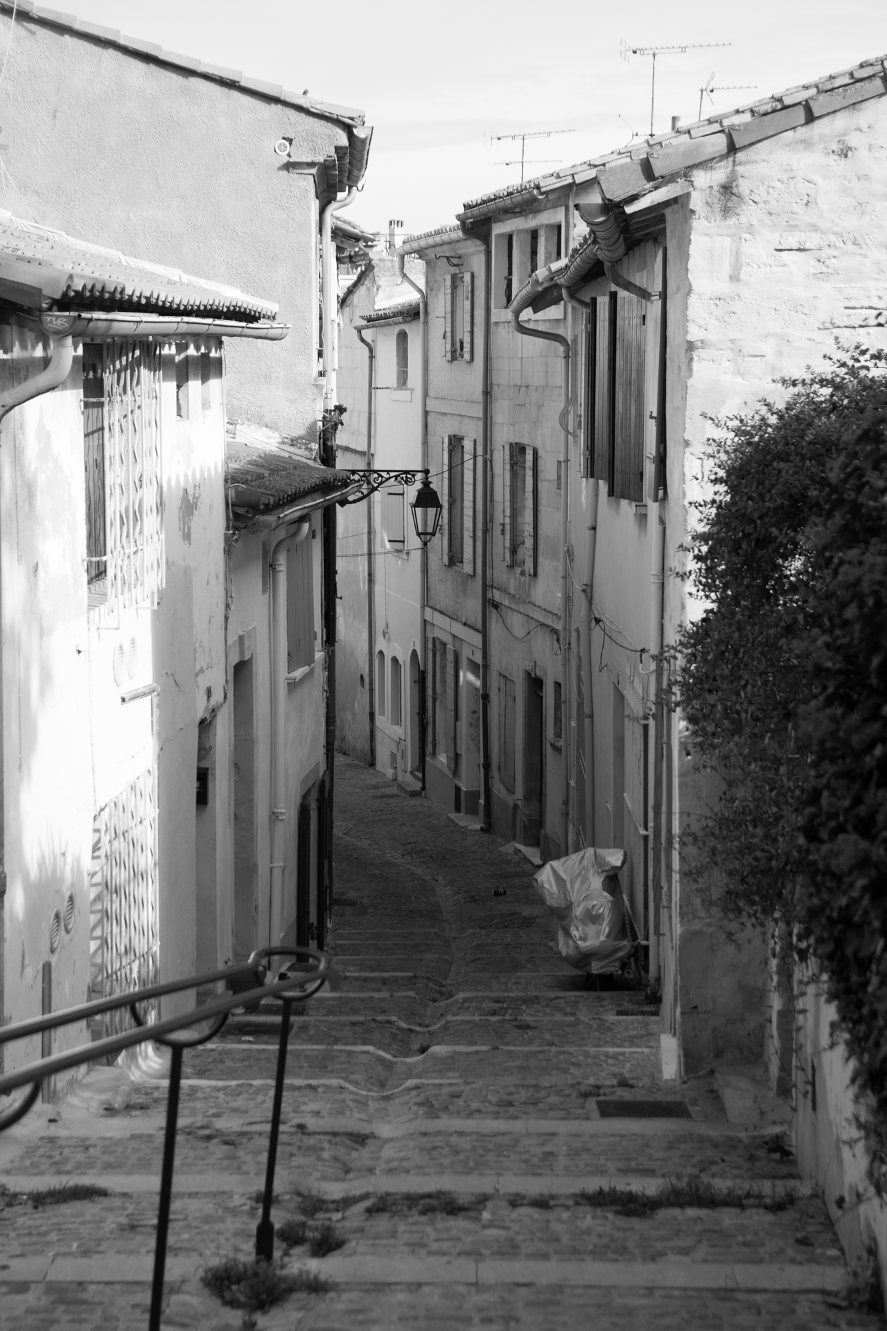 L' Oeil Noir Photographie